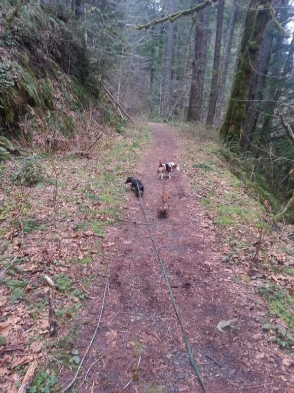 Barlow Trail in Sandy, Oregon