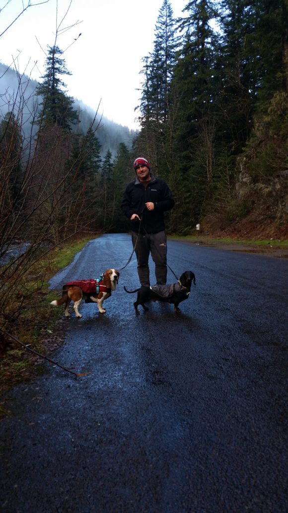 Salmon River Trail: A Rainy Afternoon Hike