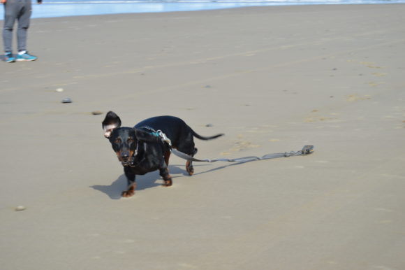 Wordless Wednesday: The Beach…Finally!