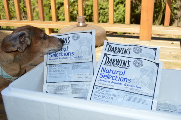 Darwins Review: Fresh Food, Raw Diets & Green Tripe