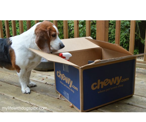 Chewy Box Arrived: Delicious Merrick Treats!