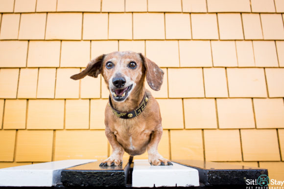 Bruiser’s Senior Photo Shoot: Cross it off your Bucket List