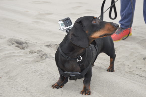 GoPro Beach Footage: Practice Makes Perfect