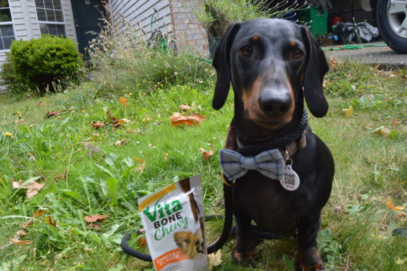 Vita Bone Biscuits for Positive Dog Training