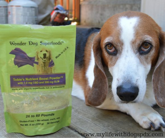 A Q&A with Wonder Dog Superfoods: Why Cannabidiol