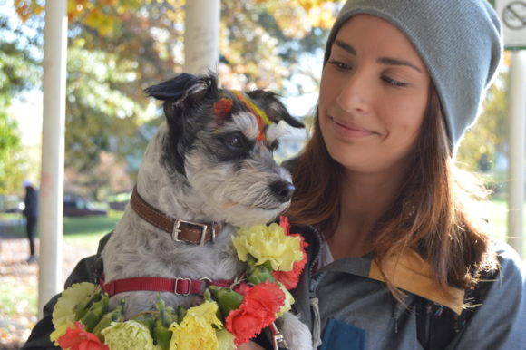 The Tihar Festival in the Park: Ceremony Goes to the Dogs