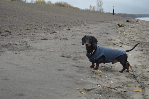 Black Friday Beach Time